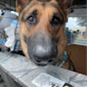 Meet your Posher, Crystal